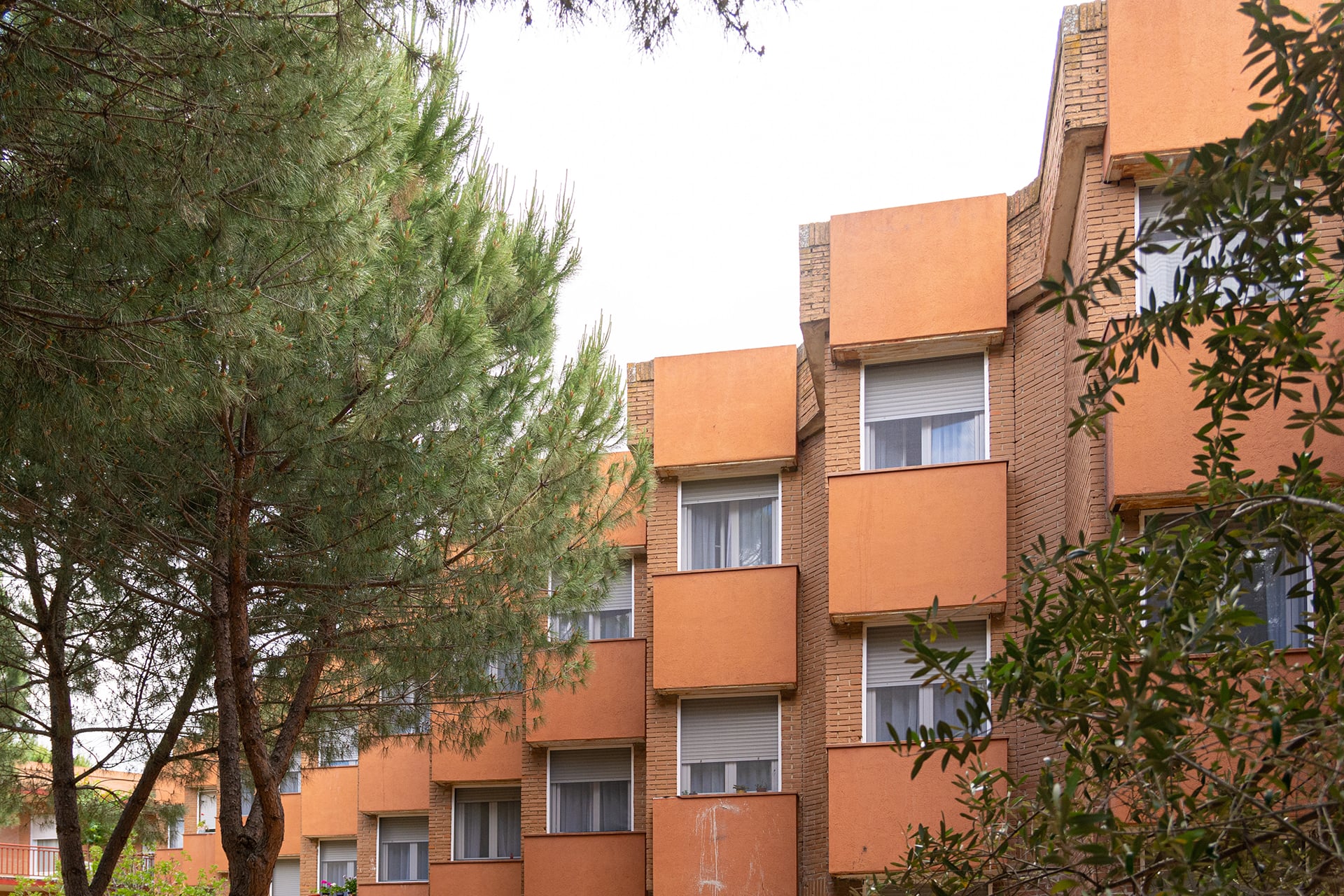 Protocolos Covid en las residencias de ancianos de Madrid