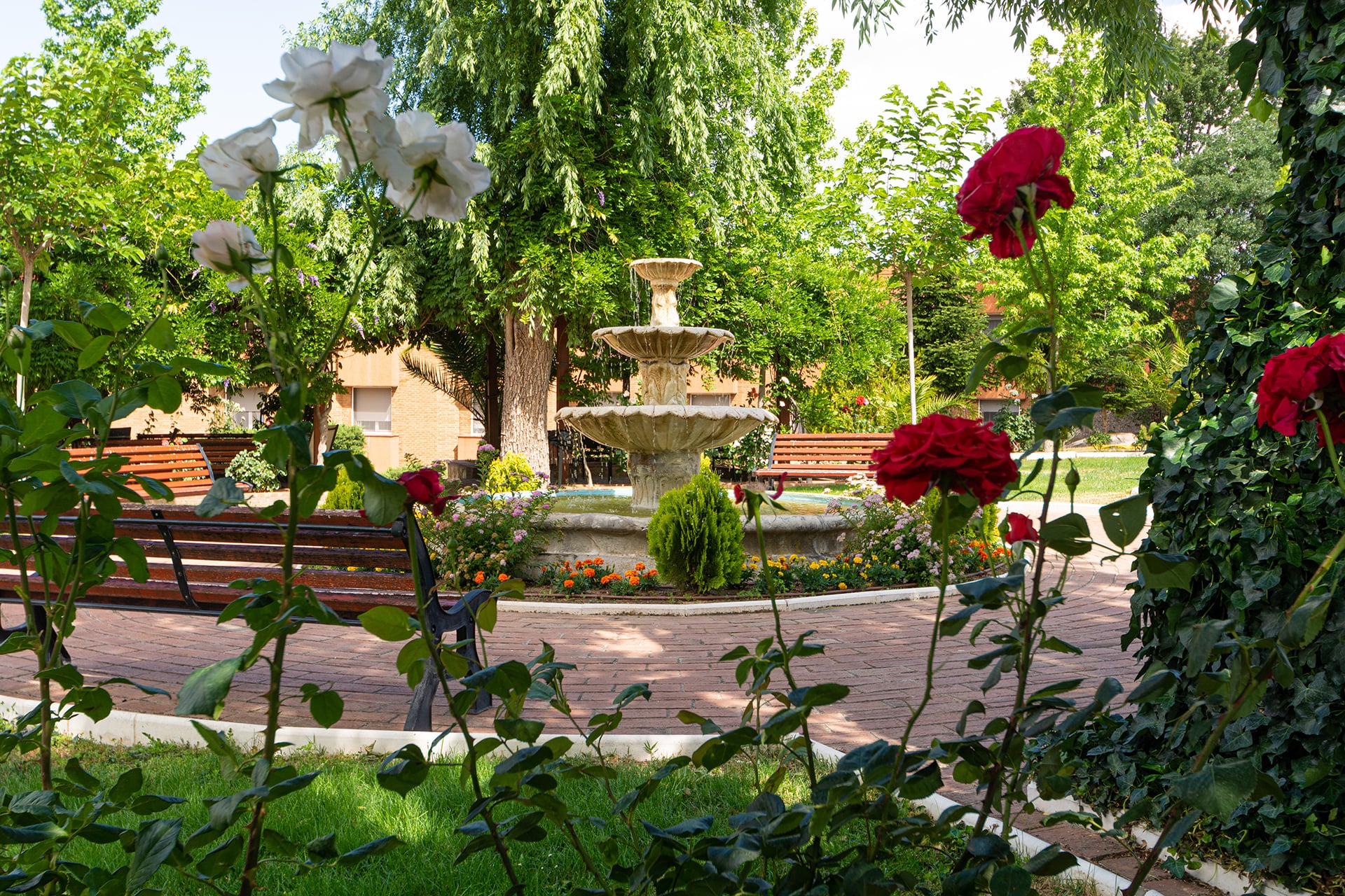 Jardín residencia Juan Pablo II